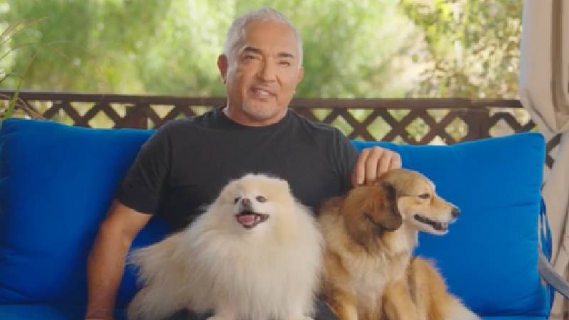 Must-Have Pet Care Products for Every Pet Owner